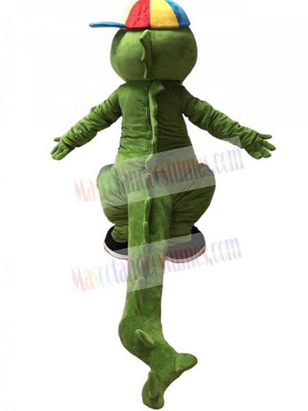 Crocodile mascot costume