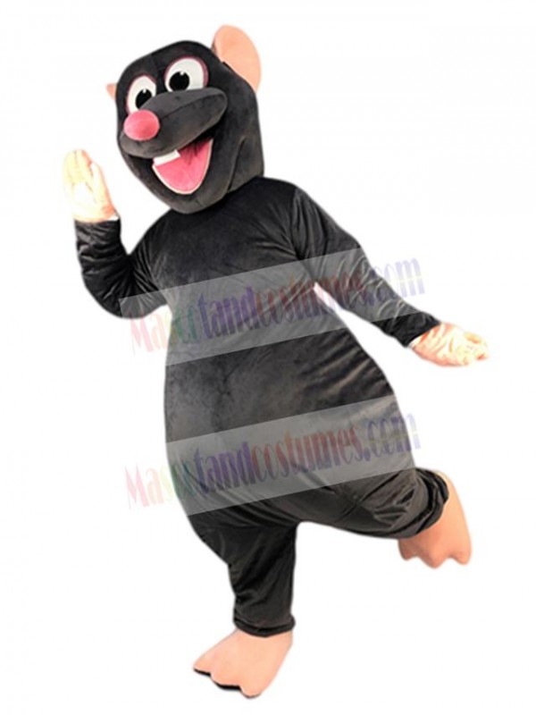 Rat Mouse mascot costume