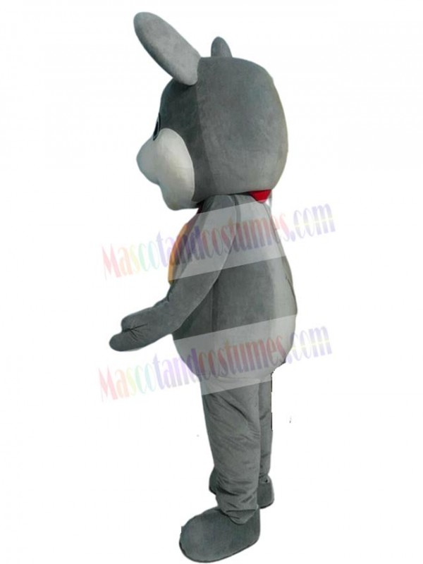 Rat Mouse mascot costume