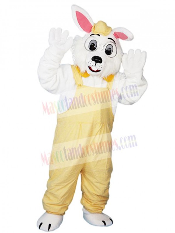 Bunny mascot costume