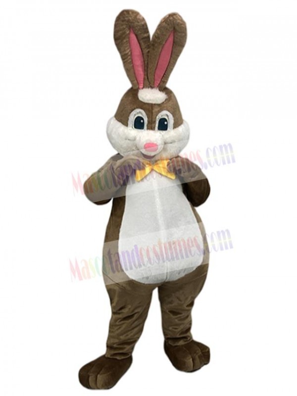 Rabbit mascot costume