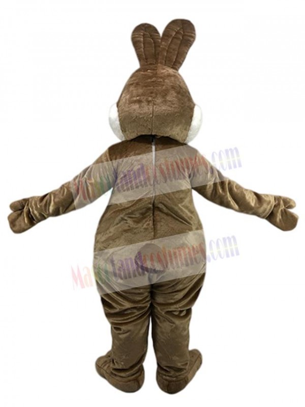 Rabbit mascot costume