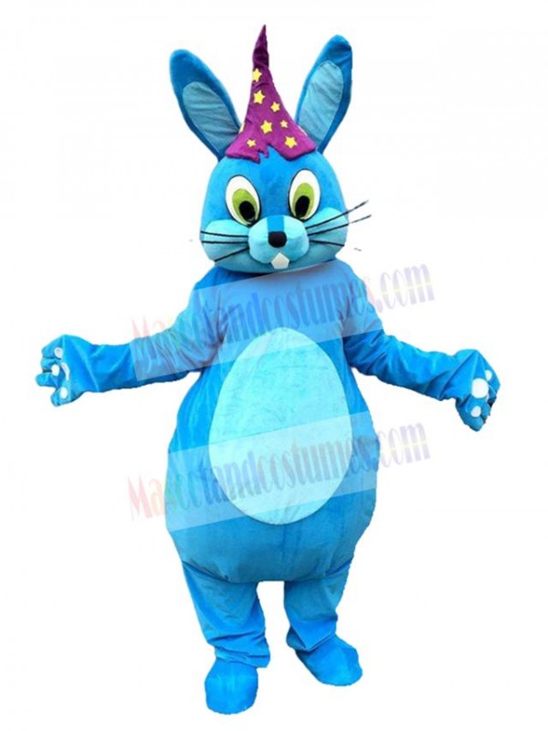 Rabbit mascot costume