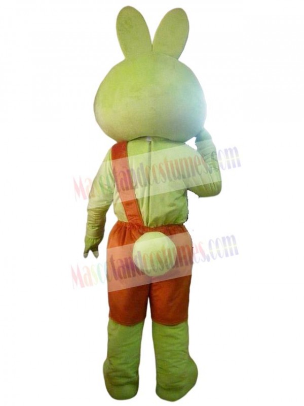 Rabbit mascot costume