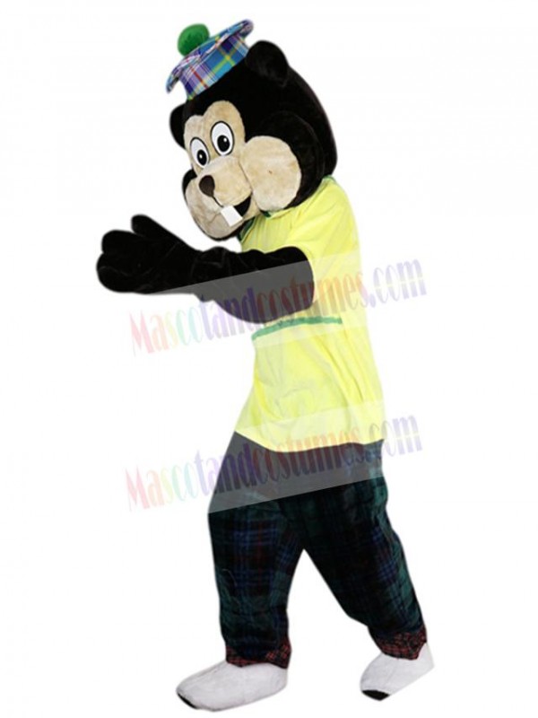 Gopher mascot costume