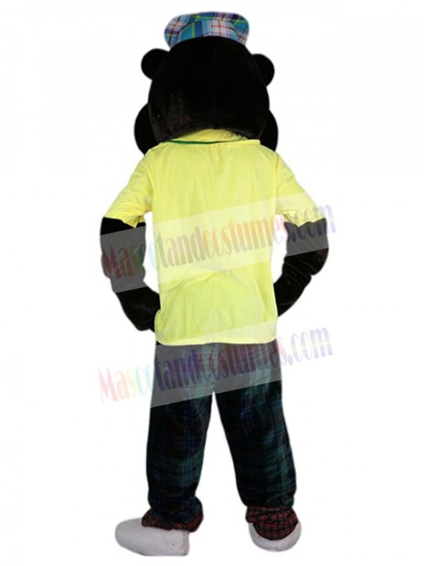 Gopher mascot costume