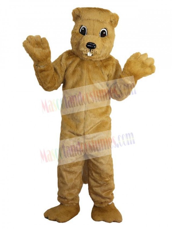 Gopher mascot costume