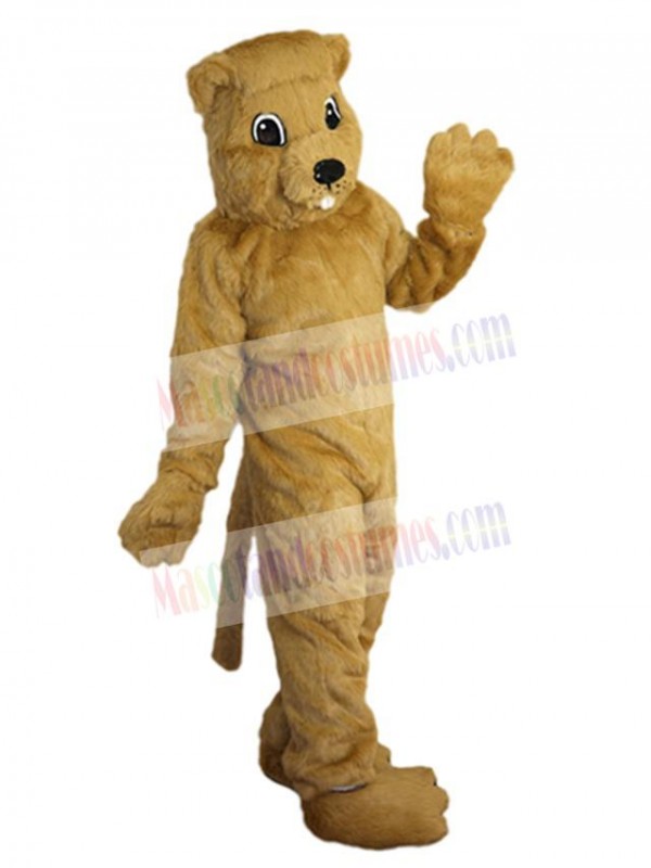 Gopher mascot costume
