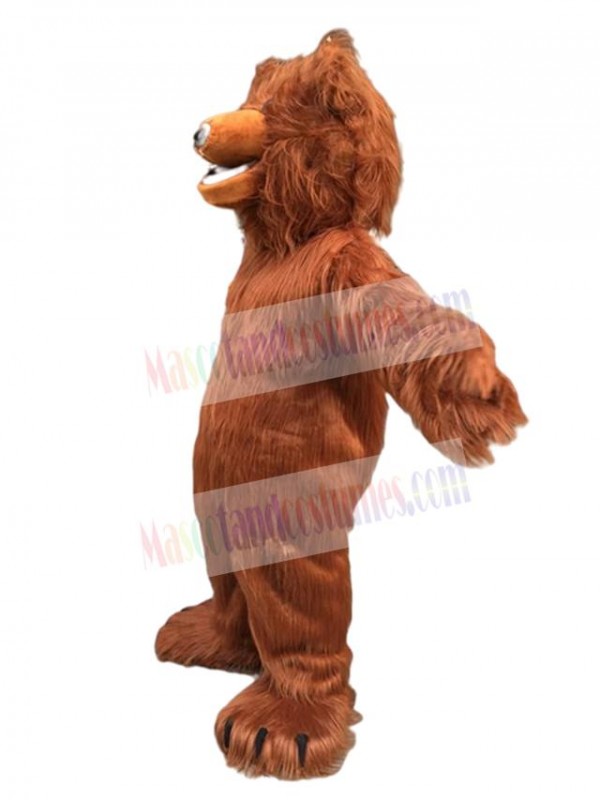 Bear mascot costume
