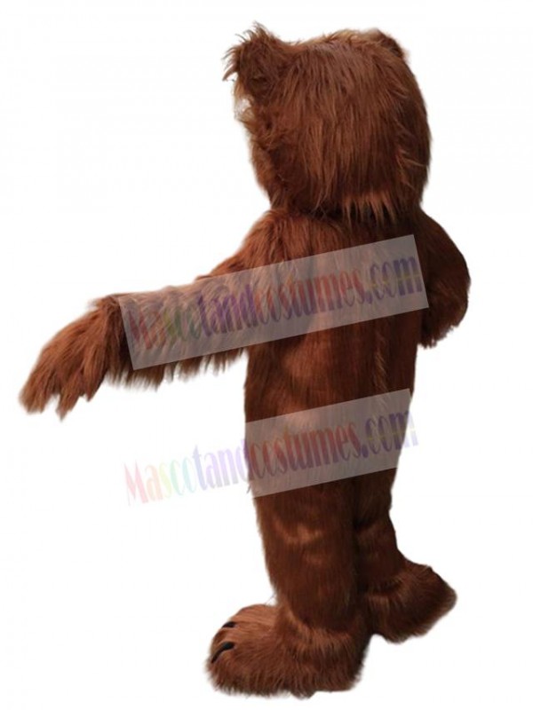 Bear mascot costume