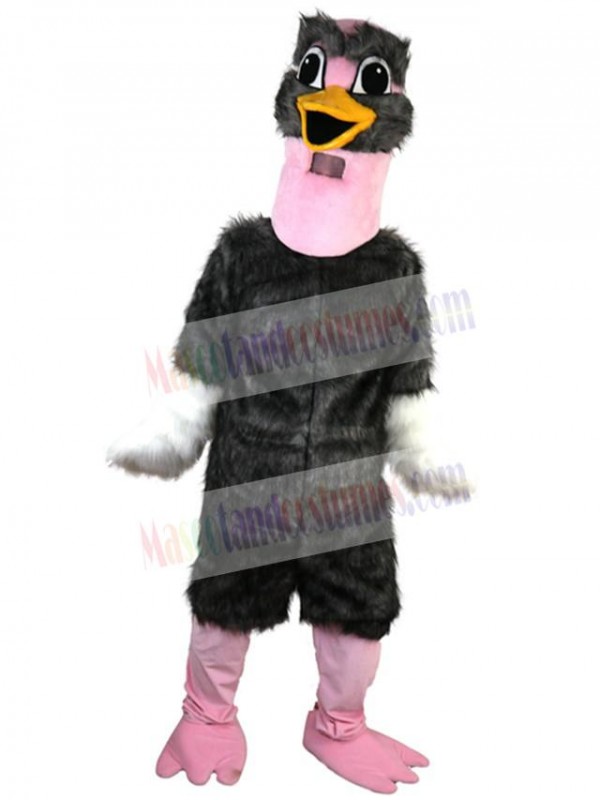 Ostrich mascot costume