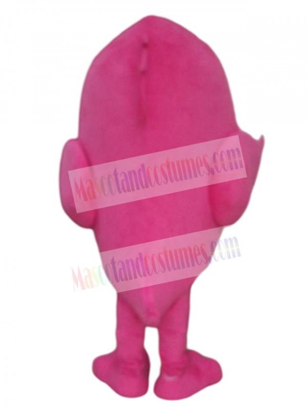Bird mascot costume
