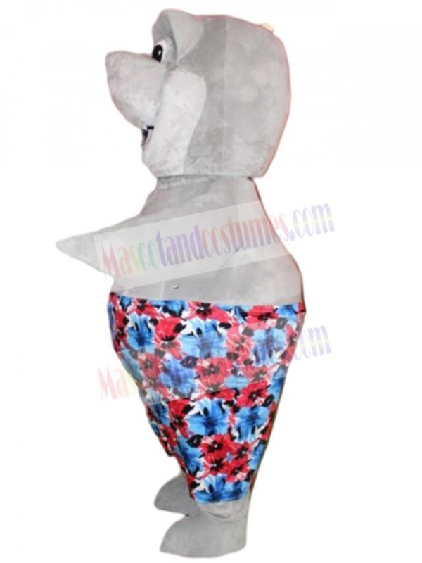 Shark mascot costume