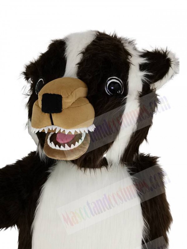 Badger mascot costume