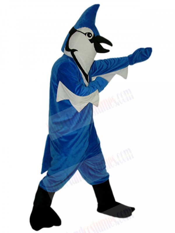 bird mascot costume