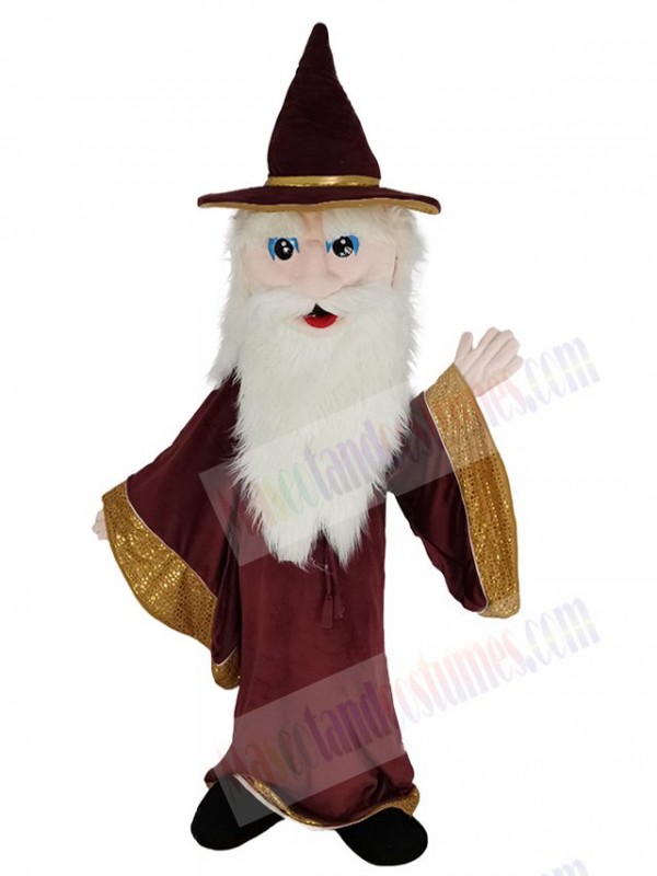 Merlin Wizard mascot costume