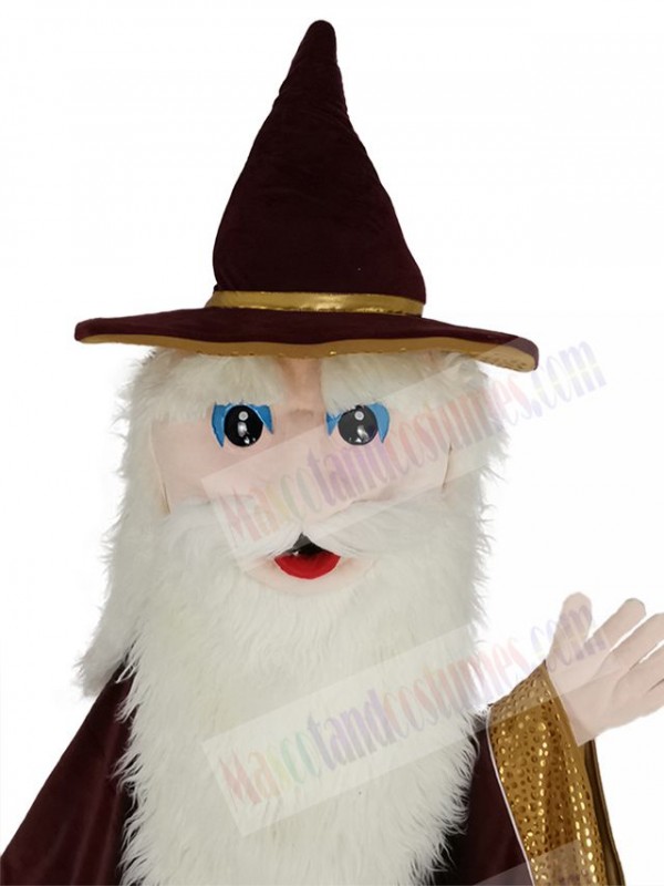 Merlin Wizard mascot costume