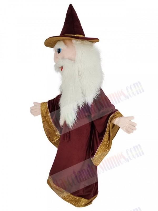 Merlin Wizard mascot costume