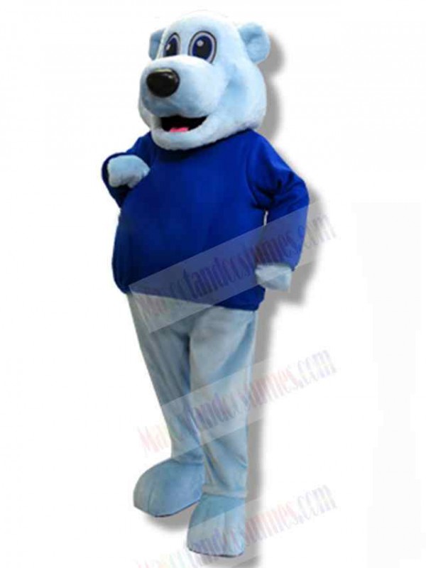 Bear mascot costume