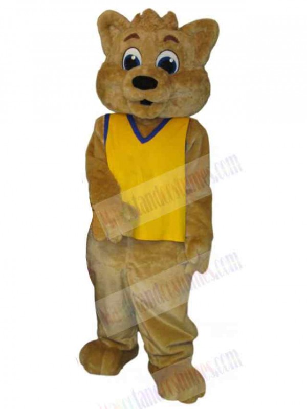 Bear mascot costume