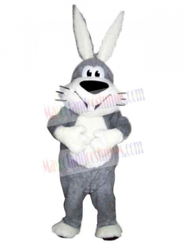 Easter Bunny Rabbit mascot costume