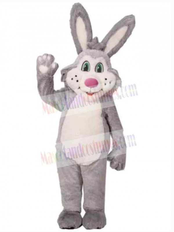 Easter Bunny Rabbit mascot costume