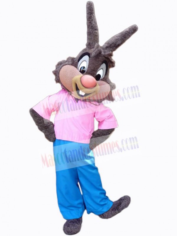 Easter Bunny Rabbit mascot costume