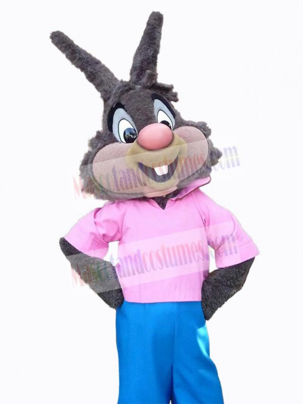 Easter Bunny Rabbit mascot costume