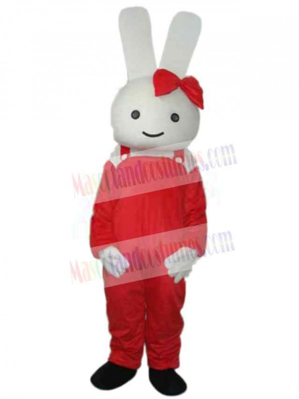 Easter Bunny Rabbit mascot costume