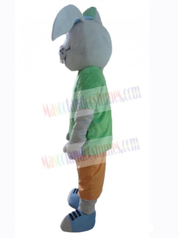 Easter Bunny Rabbit mascot costume