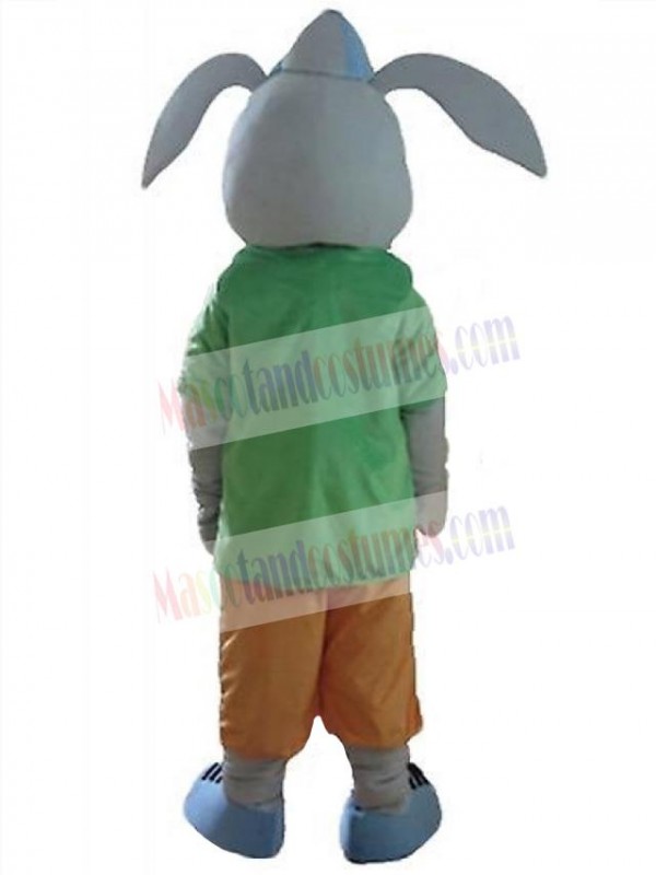 Easter Bunny Rabbit mascot costume