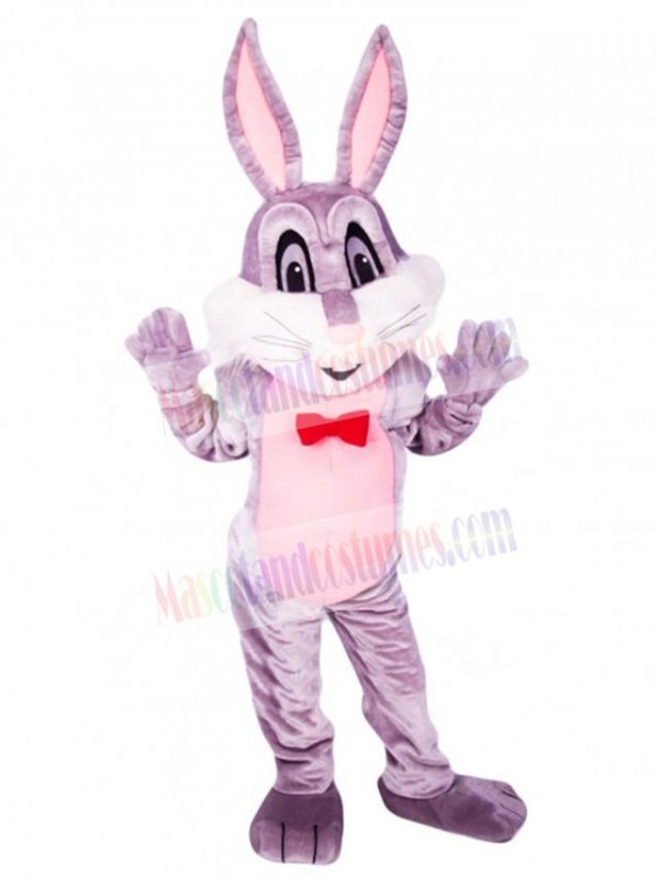Easter Bunny Rabbit mascot costume