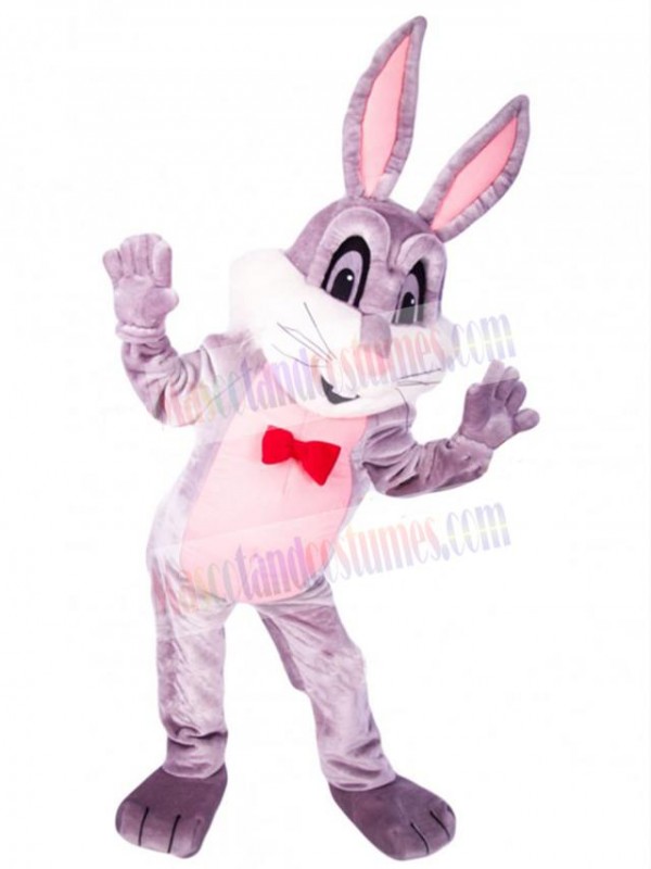 Easter Bunny Rabbit mascot costume