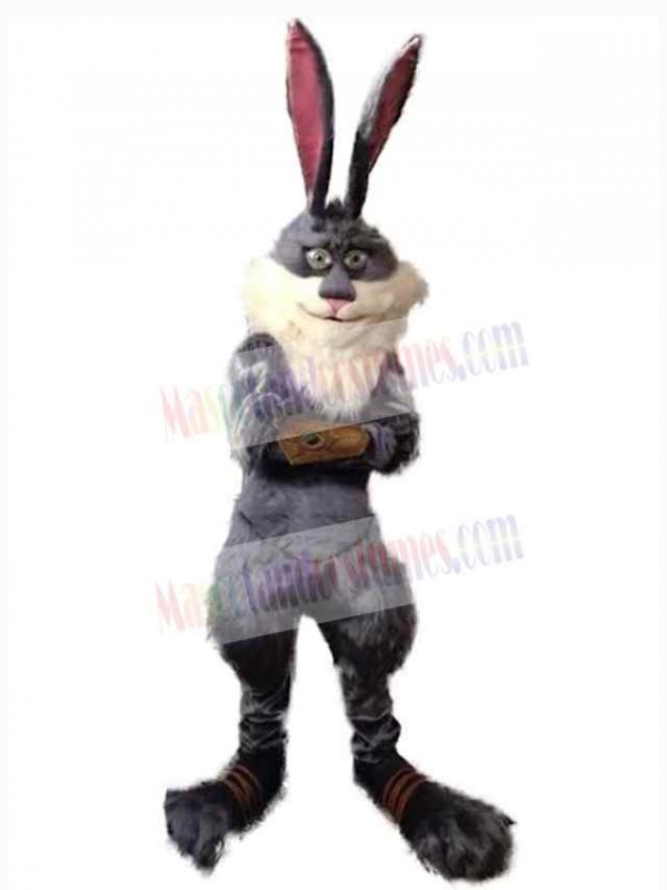Easter Bunny Rabbit mascot costume
