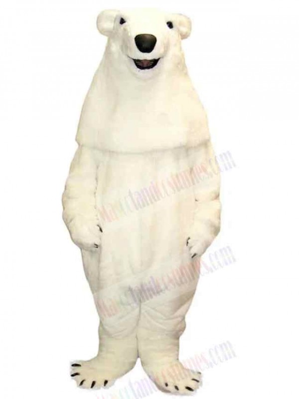 Bear mascot costume