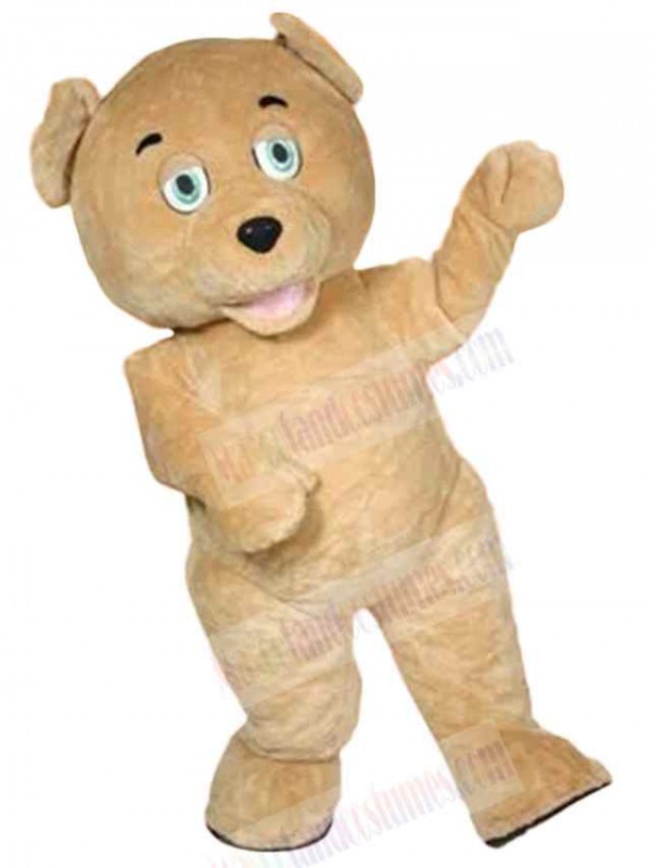 Bear mascot costume