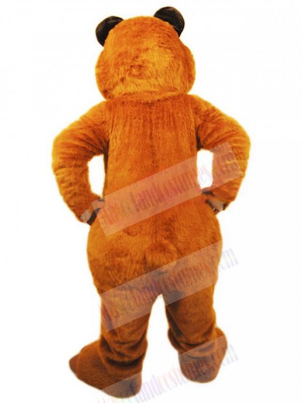 Bear mascot costume