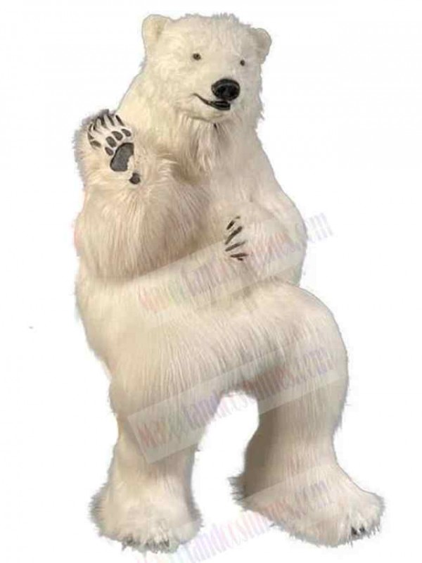 Bear mascot costume