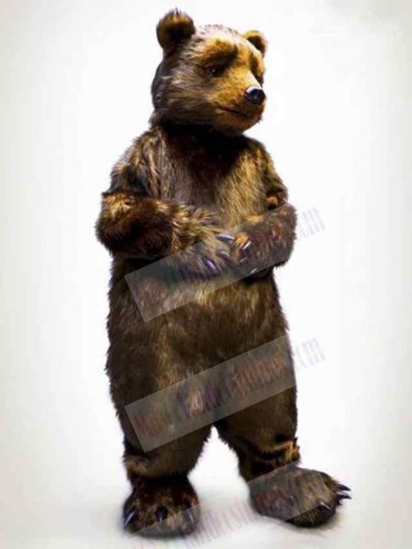 Bear mascot costume