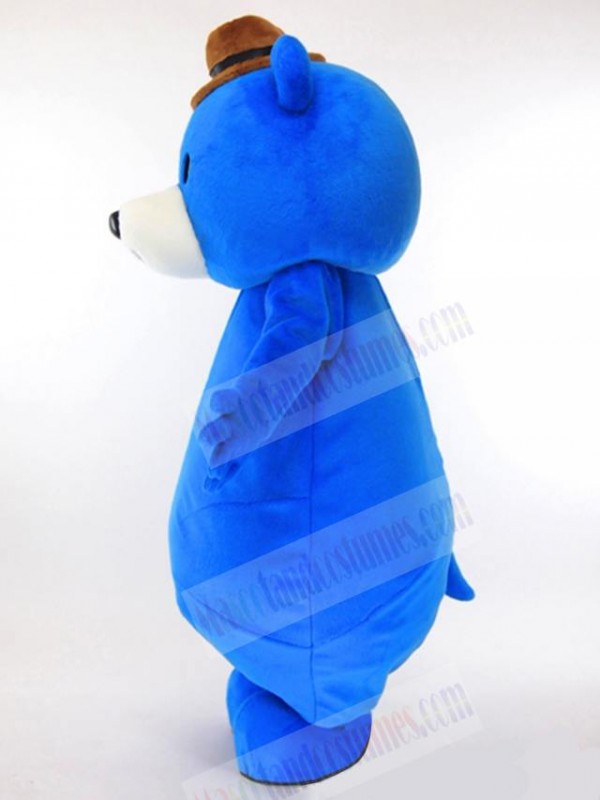 Bear mascot costume