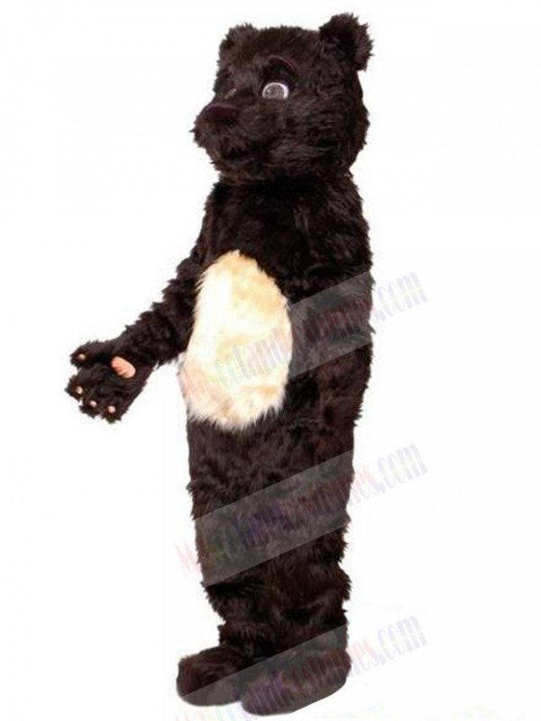 Bear mascot costume