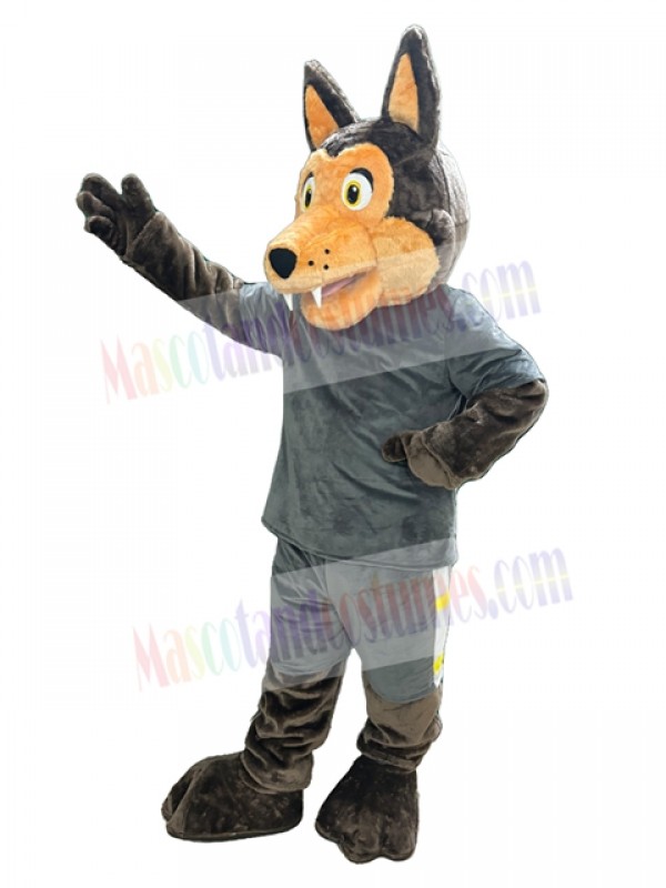 Coyote mascot costume