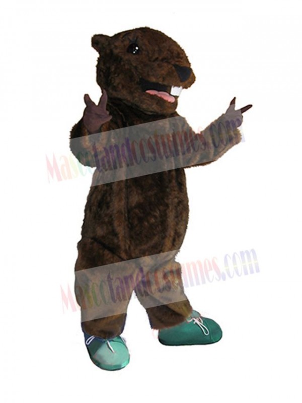 Beaver mascot costume