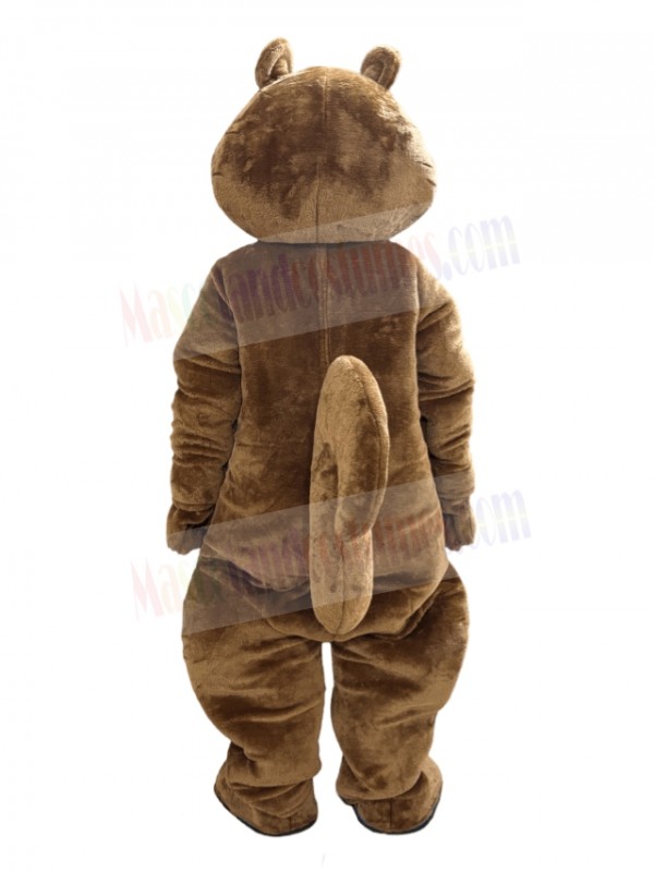 Squirrel mascot costume