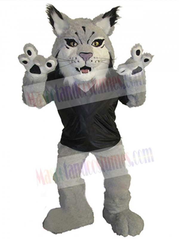 Cat mascot costume