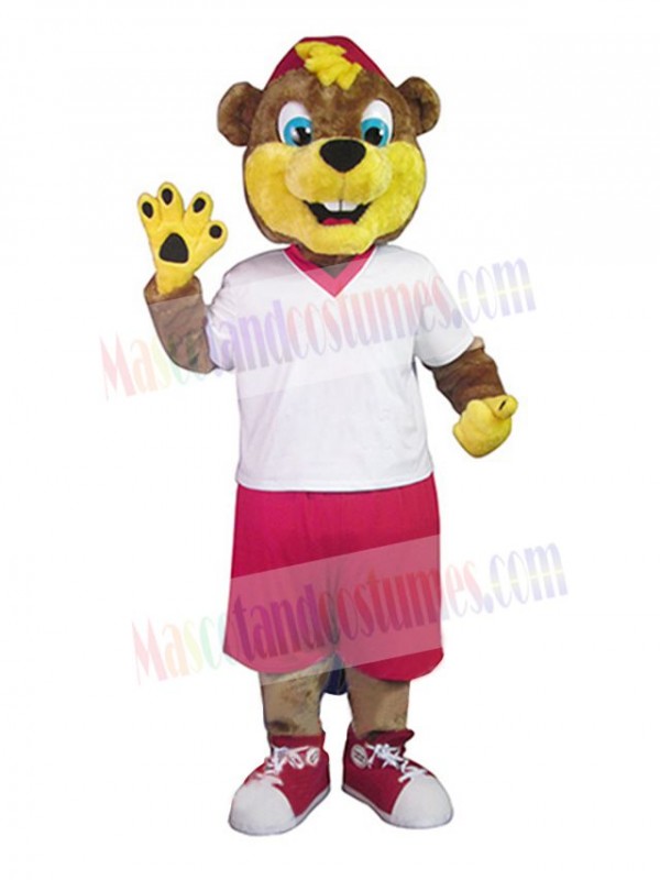 Bear mascot costume