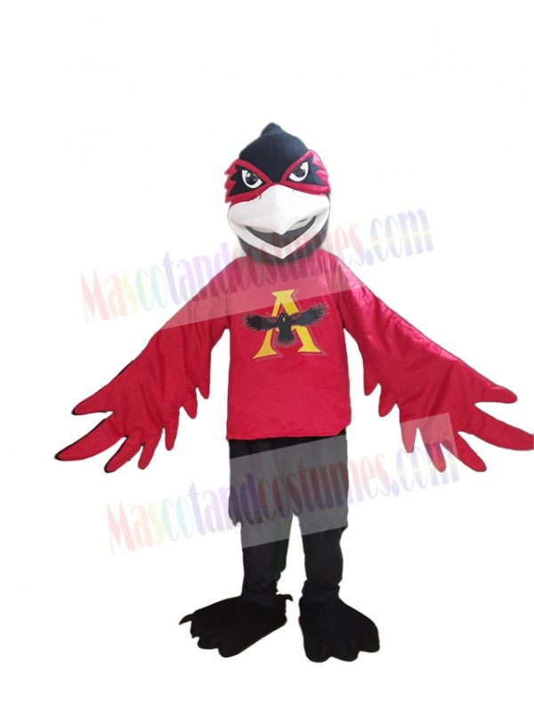 Raven mascot costume