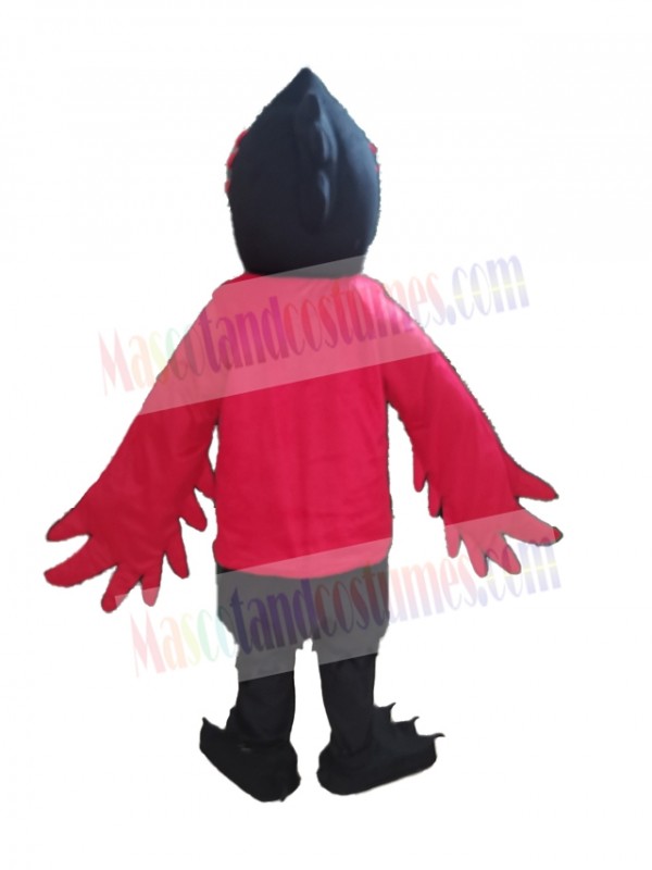 Raven mascot costume