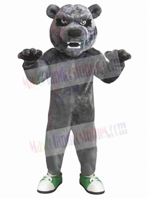 Bear mascot costume