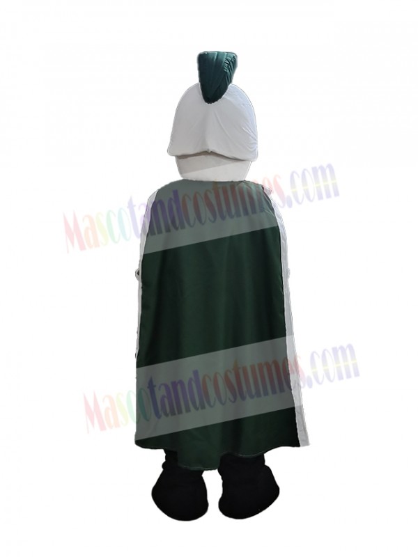 Knight mascot costume